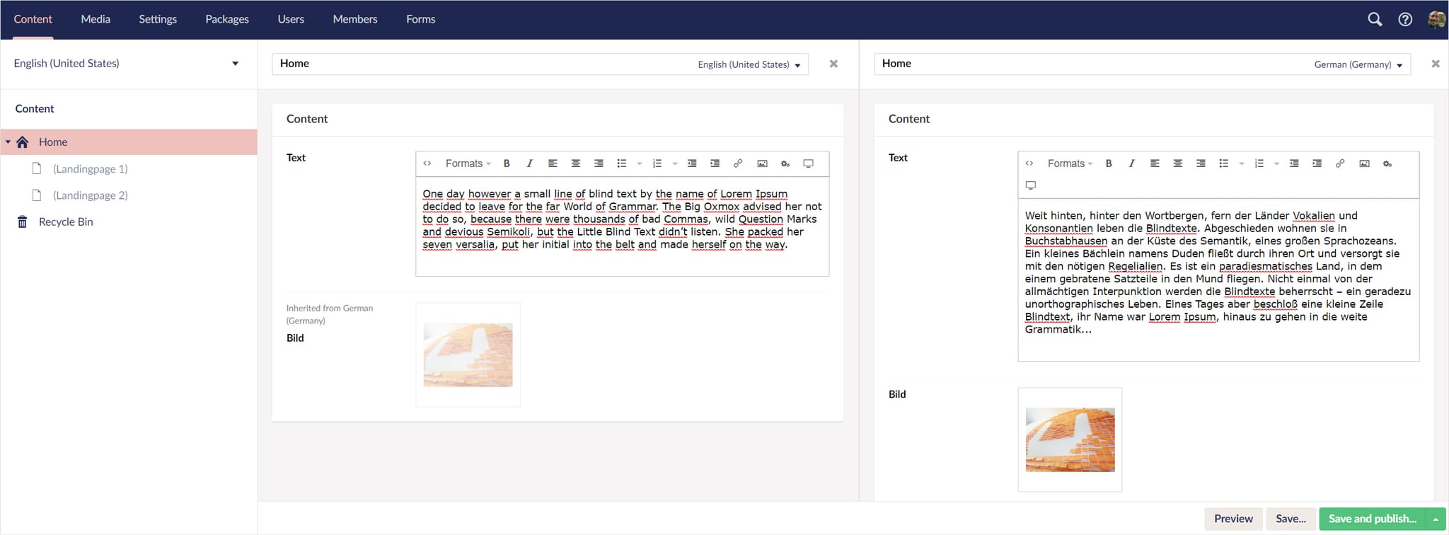 Screnshot: Umbraco-Backend
