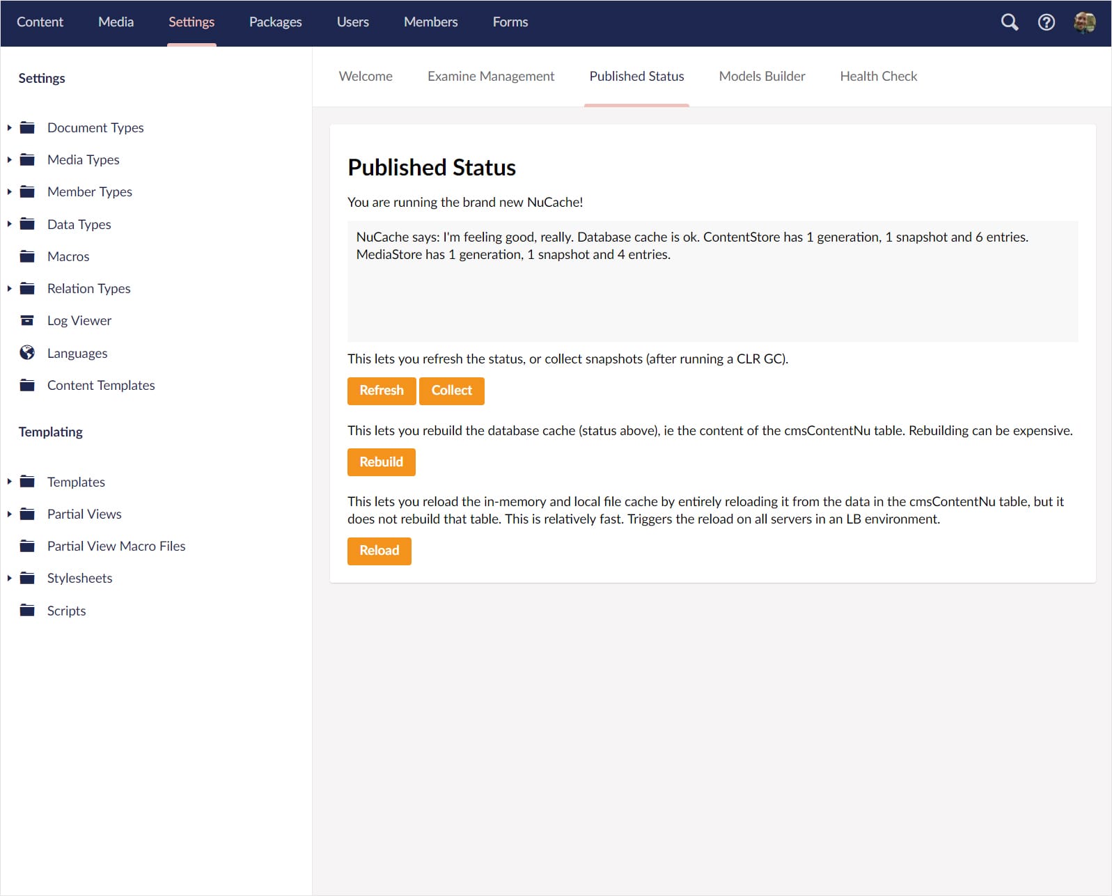 Screenshot: Umbraco 8-Backend
