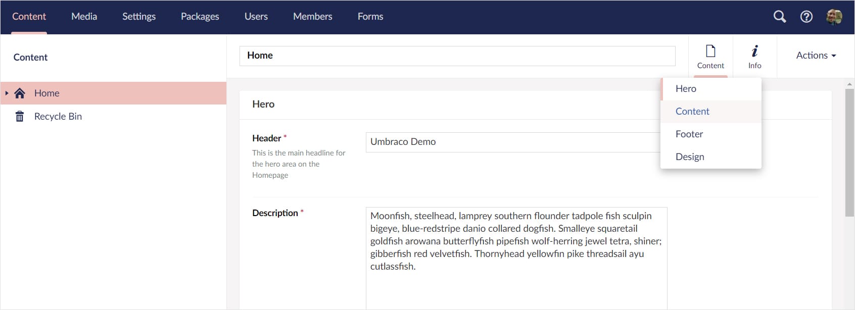 Screenshot: Umbraco 8-Backend