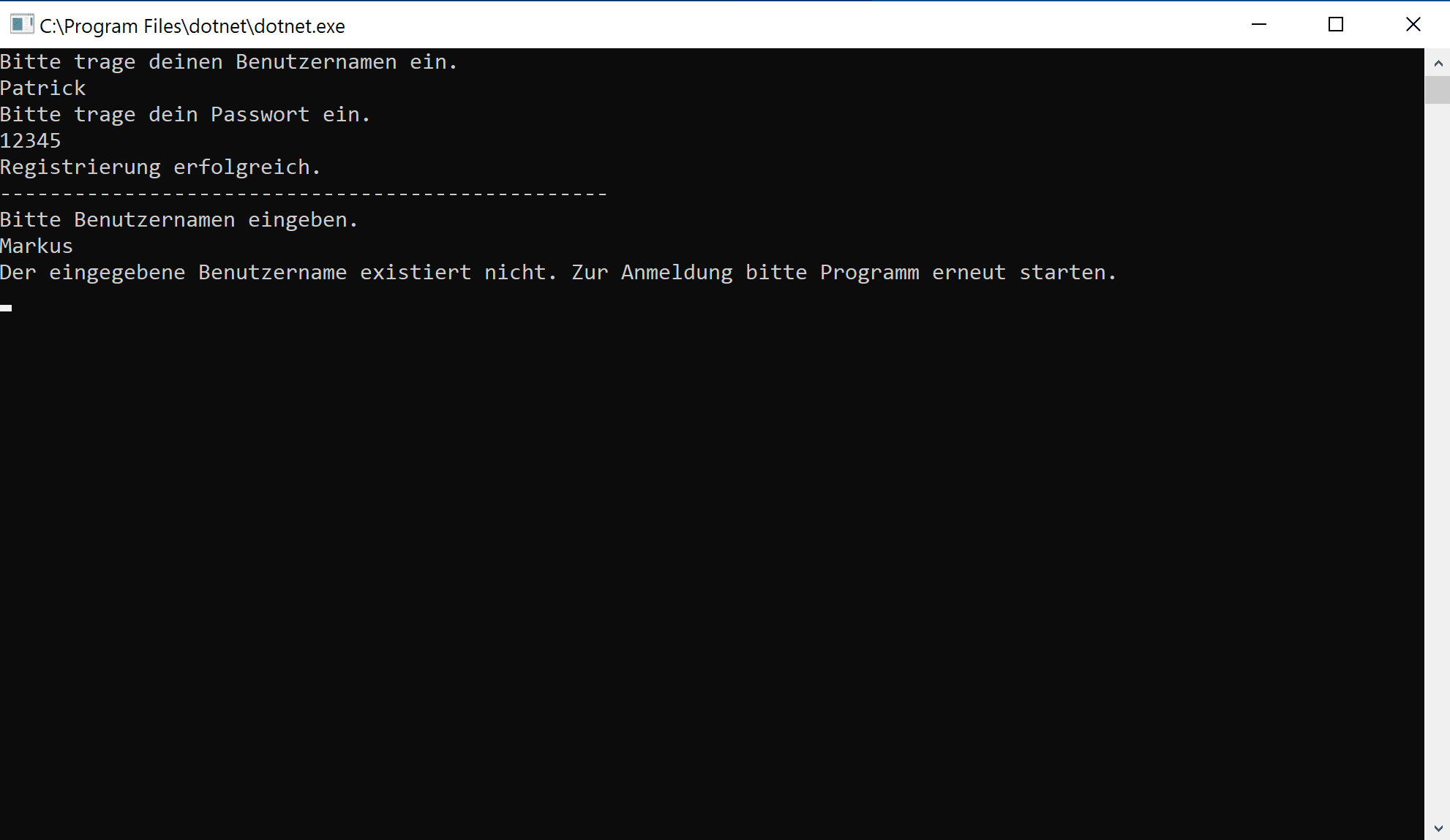 Konsolenausgabe eines Login-Prozesses