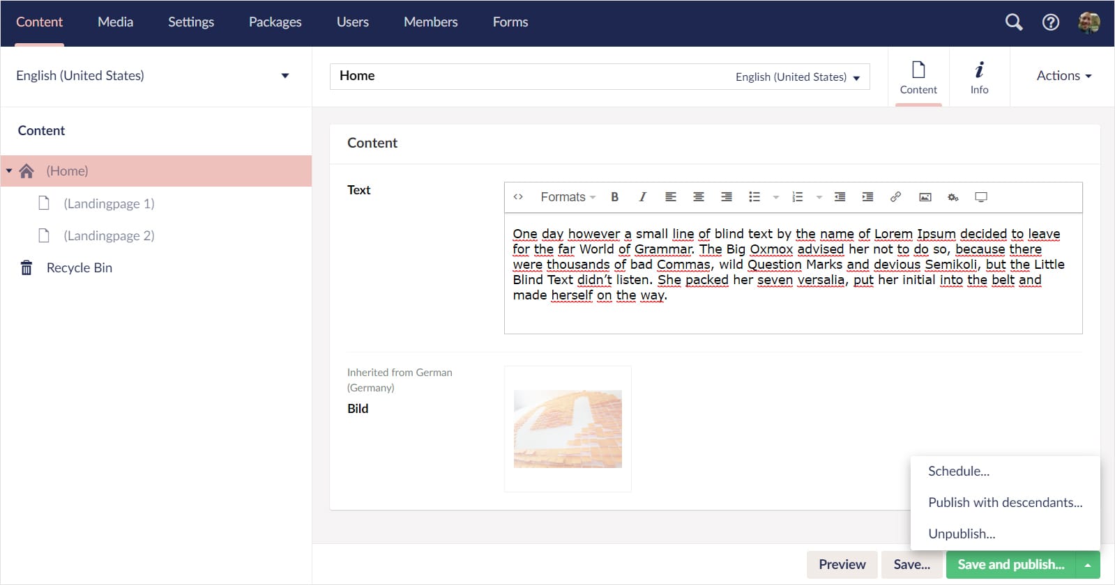 Screnshot: Umbraco-Backend