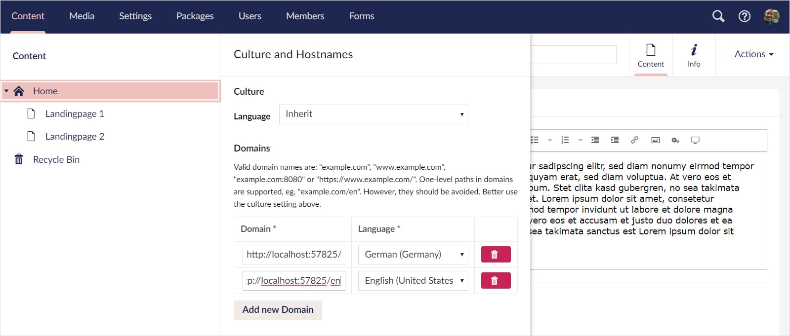Screnshot: Umbraco-Backend