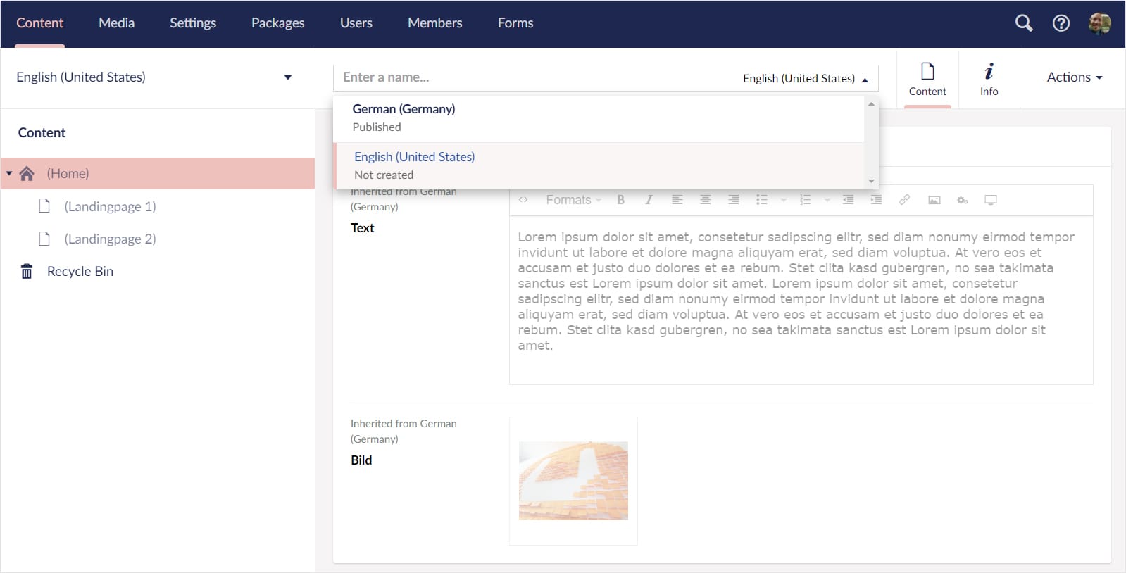 Screnshot: Umbraco-Backend
