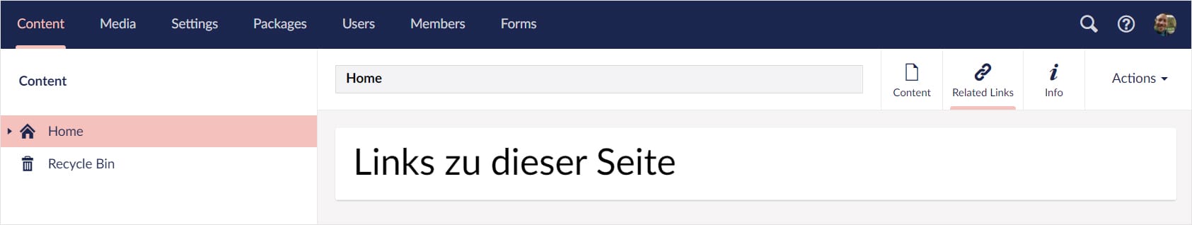 Screenshot: Umbraco 8-Backend