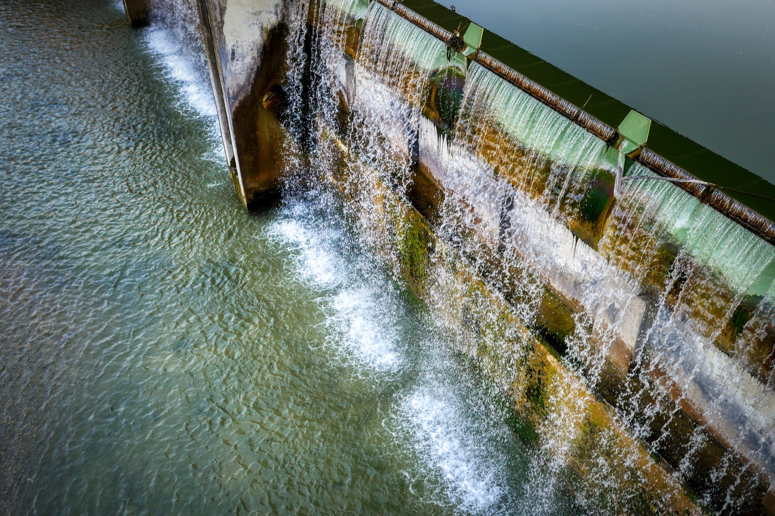 Fallback Image